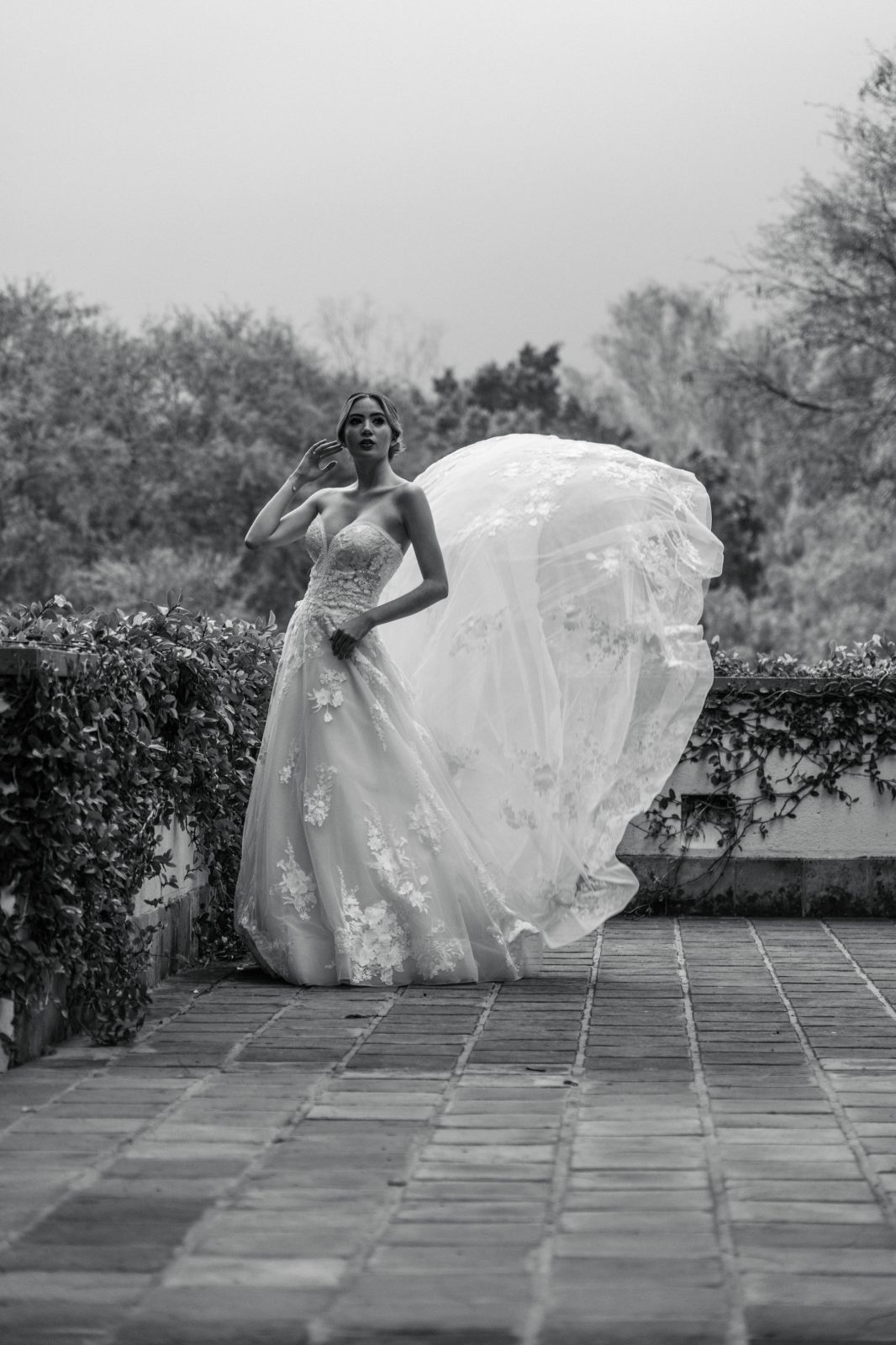Editorial de boda